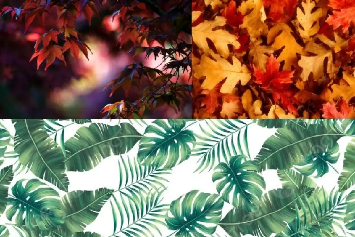 99+ ảnh background lá cây tươi mát tạo cảm giác thư giãn