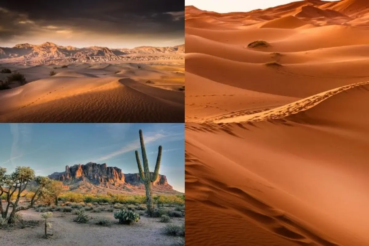 Ảnh background sa mạc full HD, 4K chuẩn đẹp cho dự án