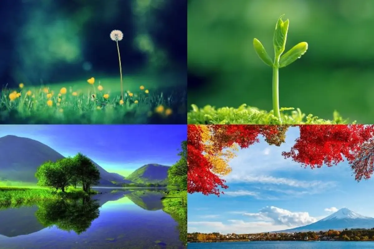 Top 100 ảnh background thiên nhiên cực chill cho mọi dự án