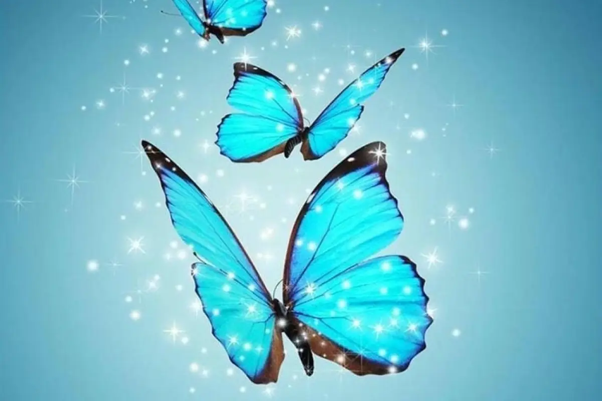 69+ background bướm bay nhẹ nhàng và tinh tế cho thiết kế