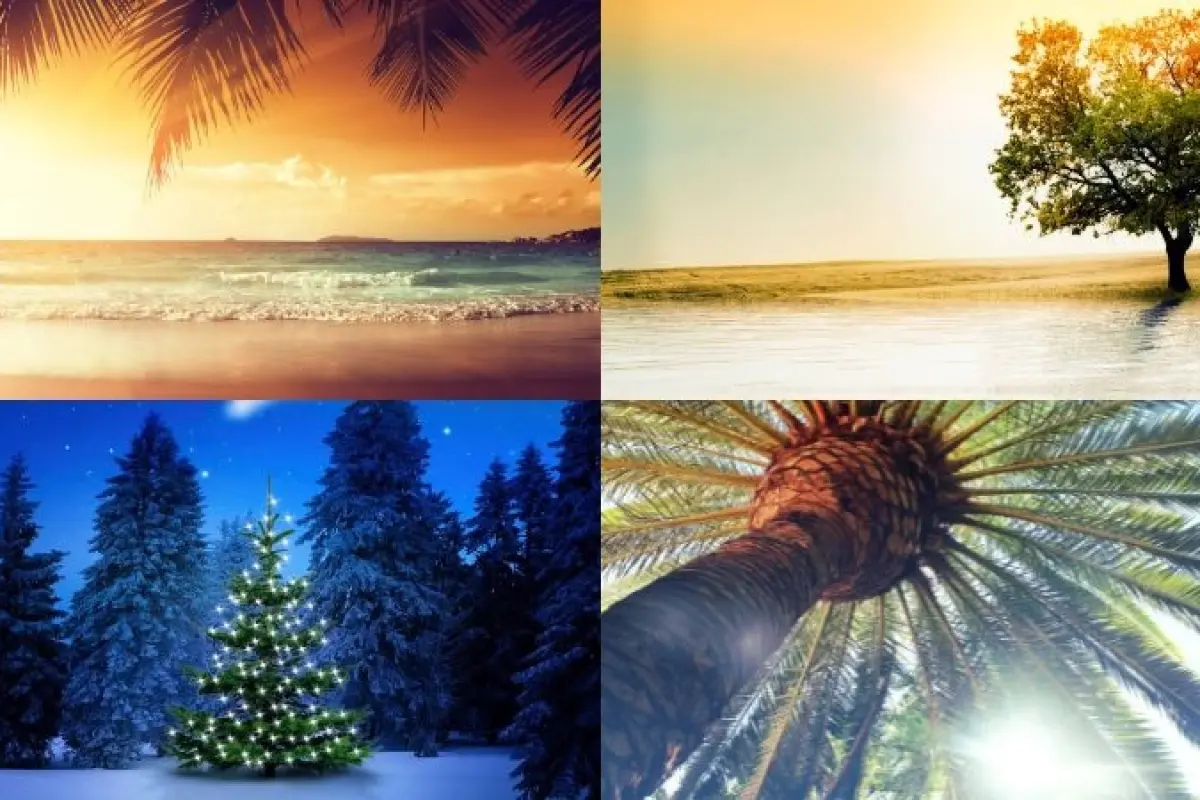 Tải ngay ảnh background cây xanh đẹp, chất lượng cao