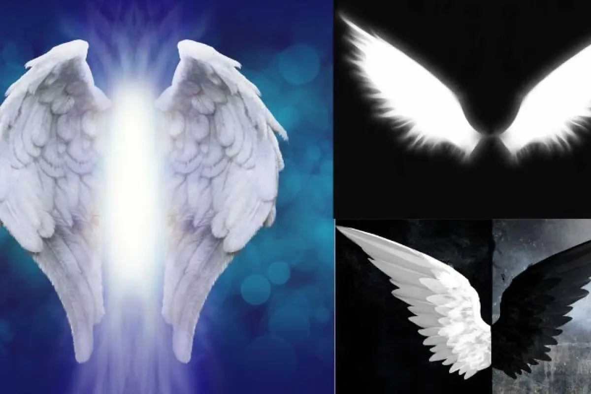 99+ ảnh background đôi cánh thiên thần độc lạ, siêu đẹp