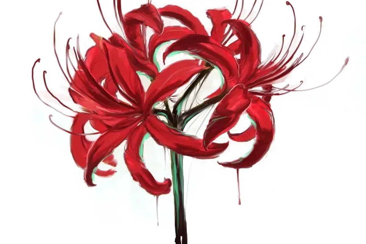 Khám phá 50 ảnh background hoa bỉ ngạn đẹp chuẩn 4K