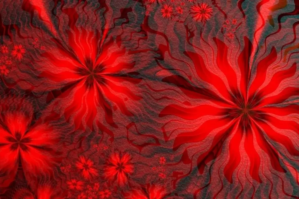 Tổng hợp 50 ảnh background hoa đỏ đẹp chất lượng cao