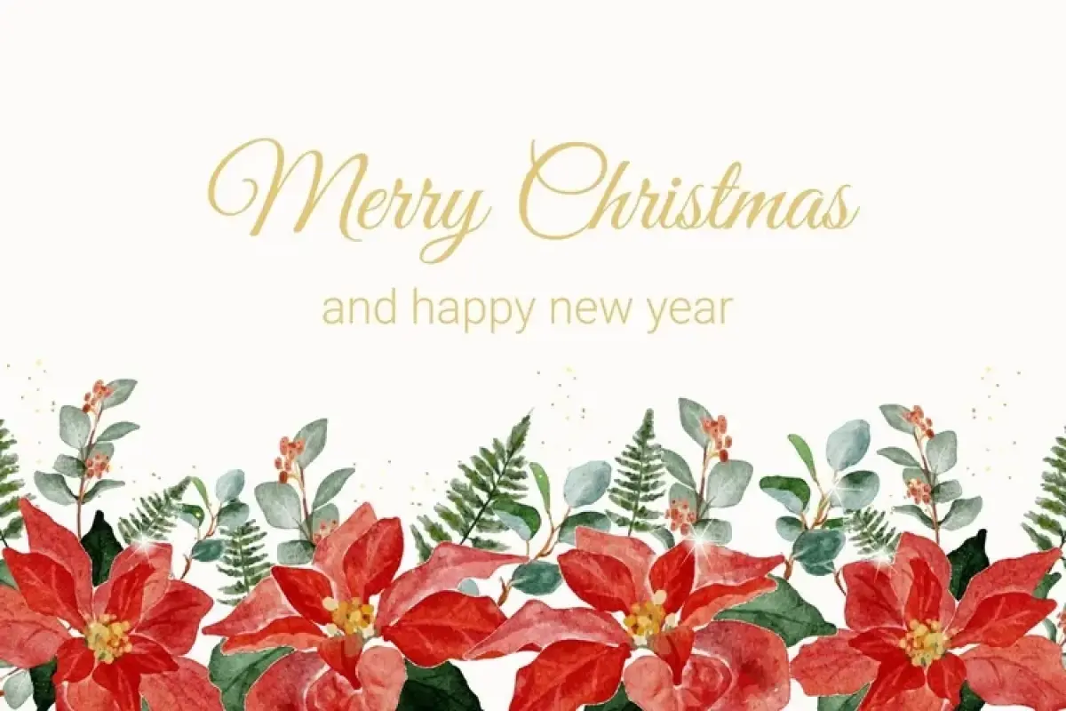 Bộ 50 ảnh background hoa Giáng sinh tuyệt đẹp cho mùa lễ hội