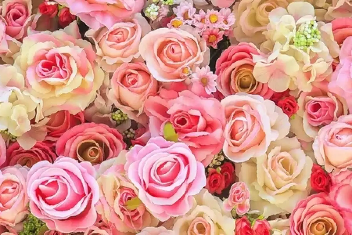 Tổng hợp 50 ảnh background hoa hồng đẹp nhất chất lượng cao