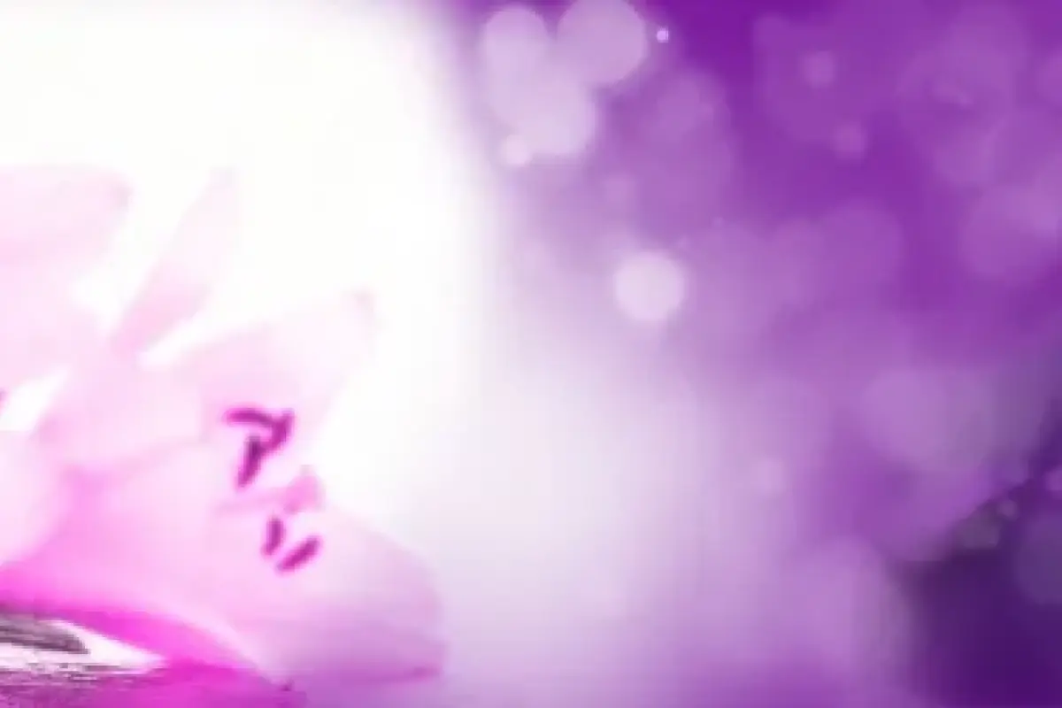 Bộ 40 ảnh background hoa tím chất lượng cao, tải miễn phí