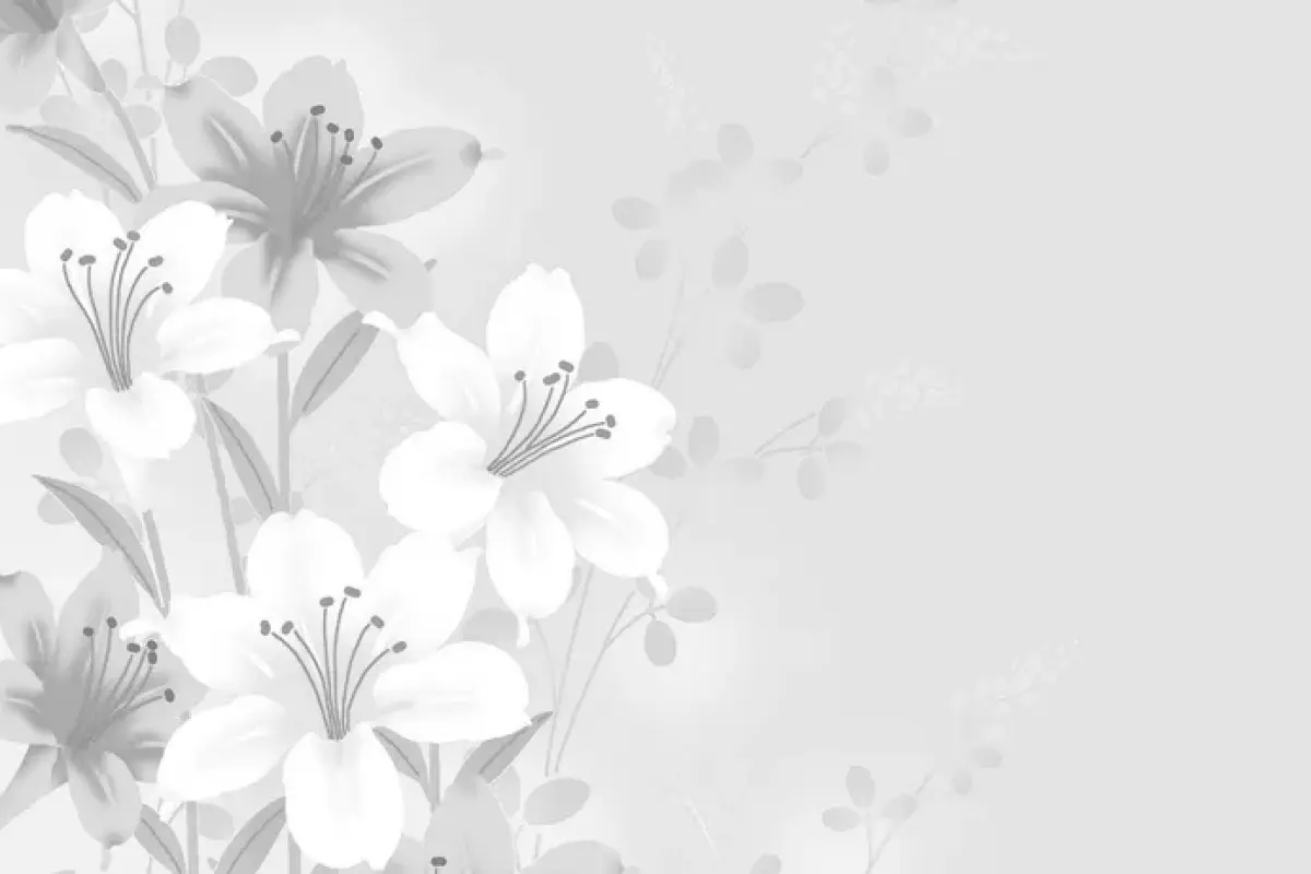 Khám phá 60+ ảnh background hoa trắng siêu nét, dễ tải về