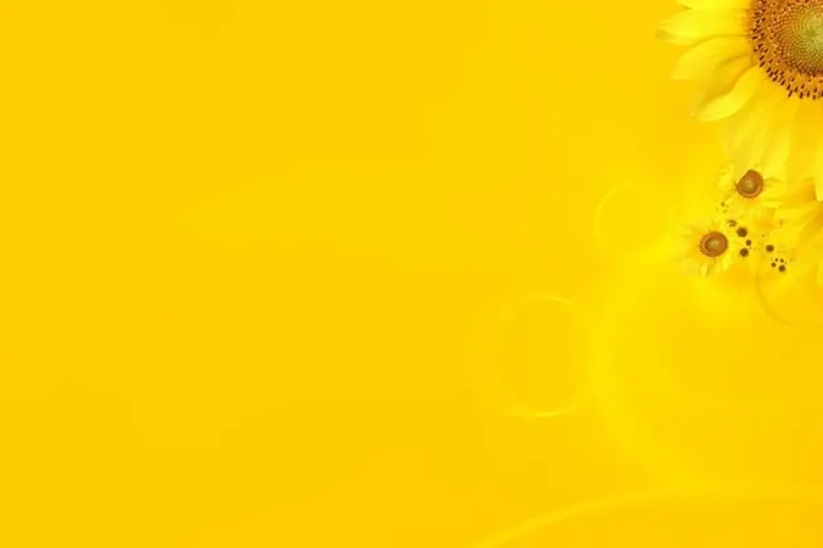 Bộ 50 ảnh background hoa vàng chất lượng cao sắc màu rực rỡ