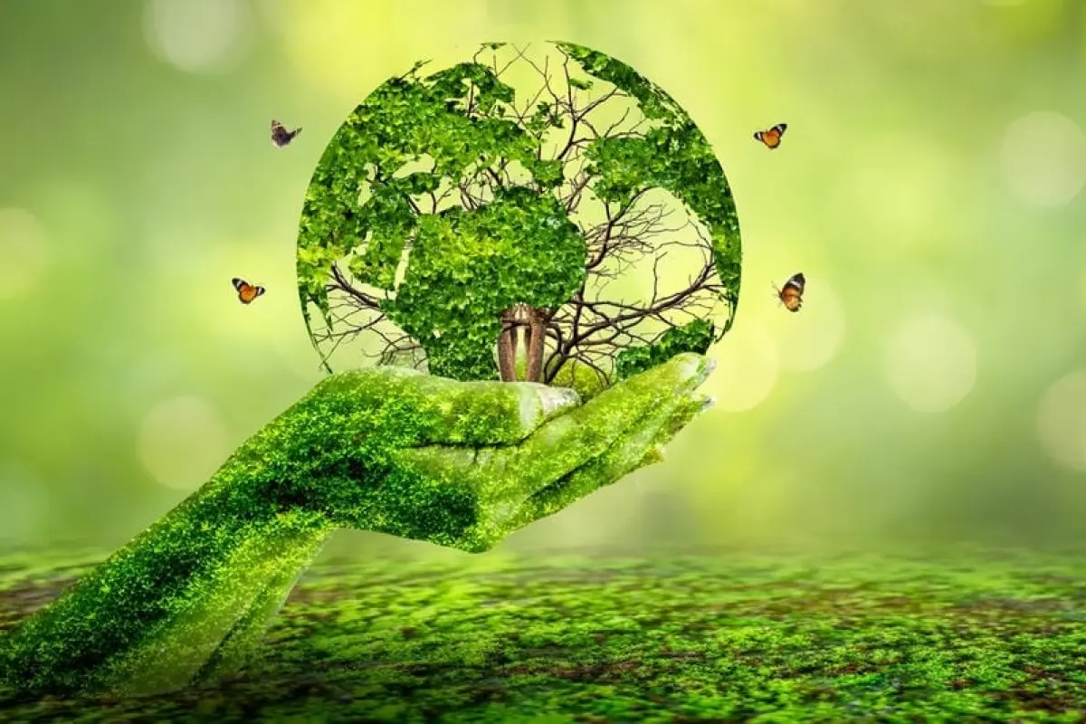 Khám phá background môi trường đa dạng cho mọi phong cách