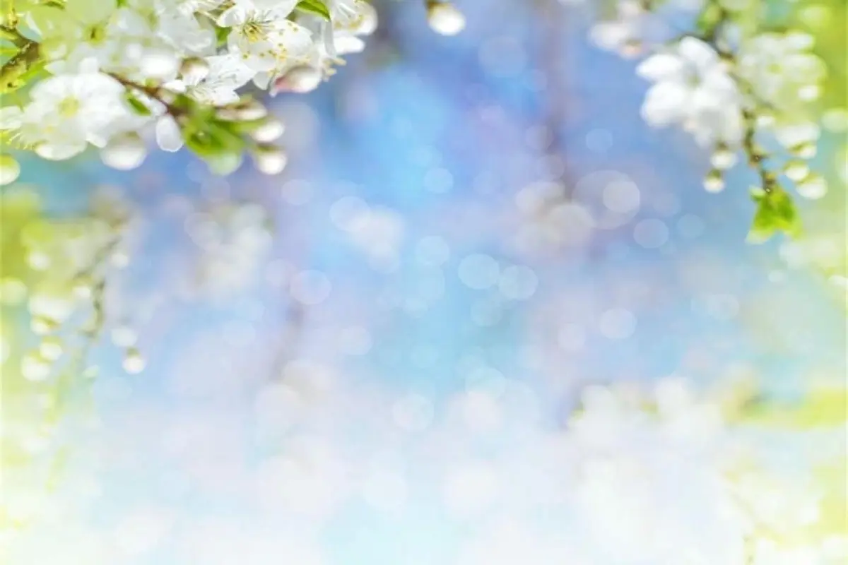 62+ background mùa xuân phong cảnh thiên nhiên tuyệt mỹ