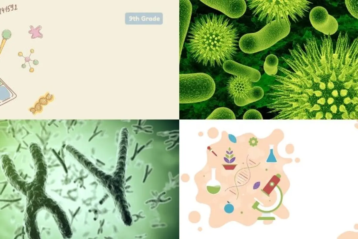 99+ background sinh học đa dạng cho nghiên cứu và giáo dục