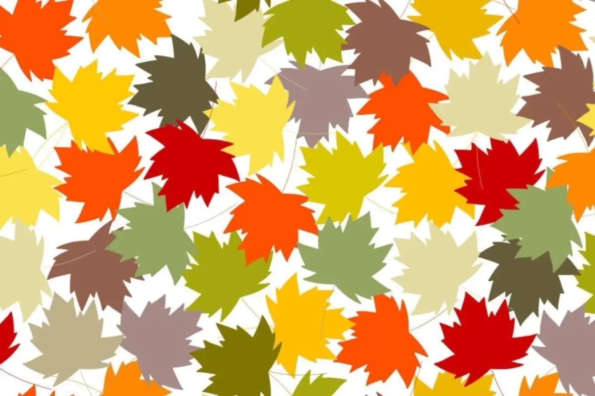 168+ Mẫu background lá phong đầy chất thơ và cảm hứng