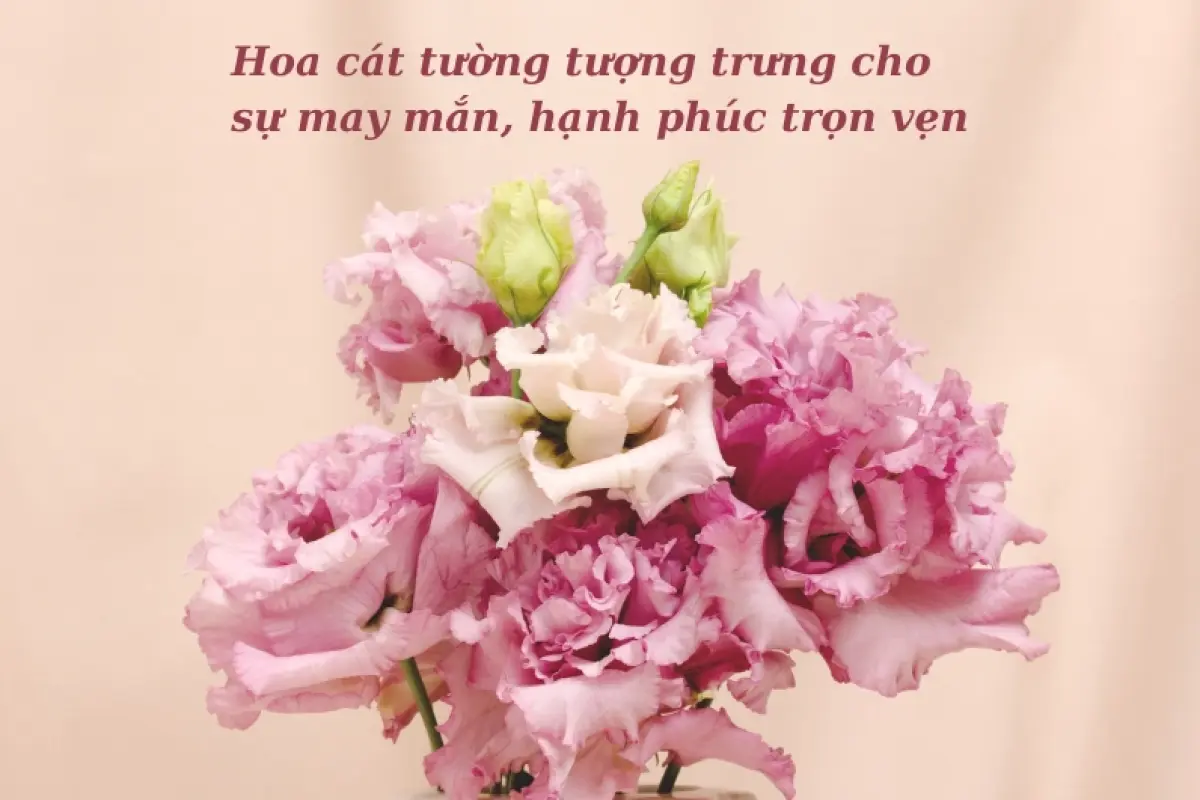 Bộ sưu tập 15 hình nền hoa cát tường rực rỡ sang trọng