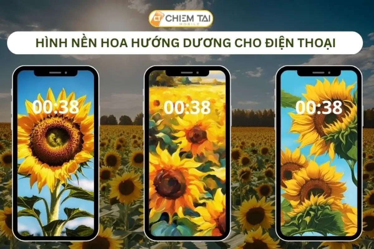 Bộ sưu tập 15+ hình nền hoa hướng dương đẹp cho điện thoại