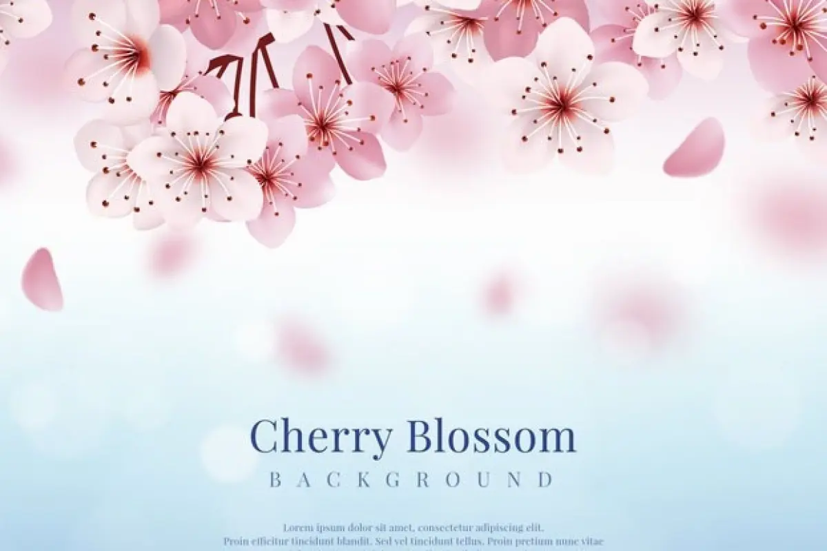 Bộ sưu tập background cành đào đẹp rực rỡ đón xuân