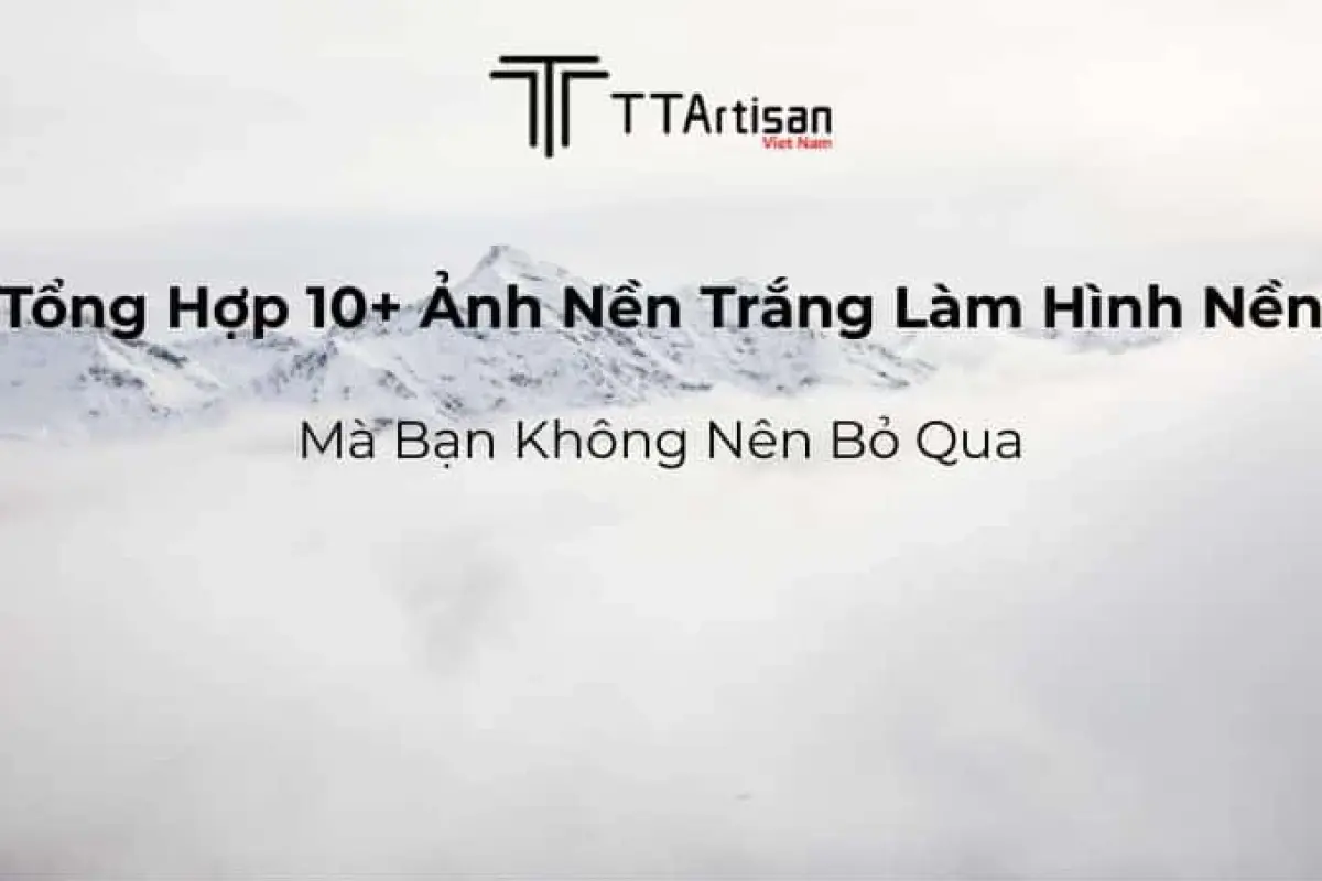 Bộ sưu tập background trơn đẹp sang trọng tải miễn phí