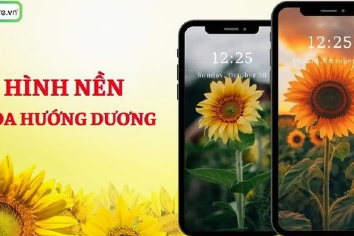 Bộ sưu tập hình nền hoa hướng dương cute dễ thương nhất