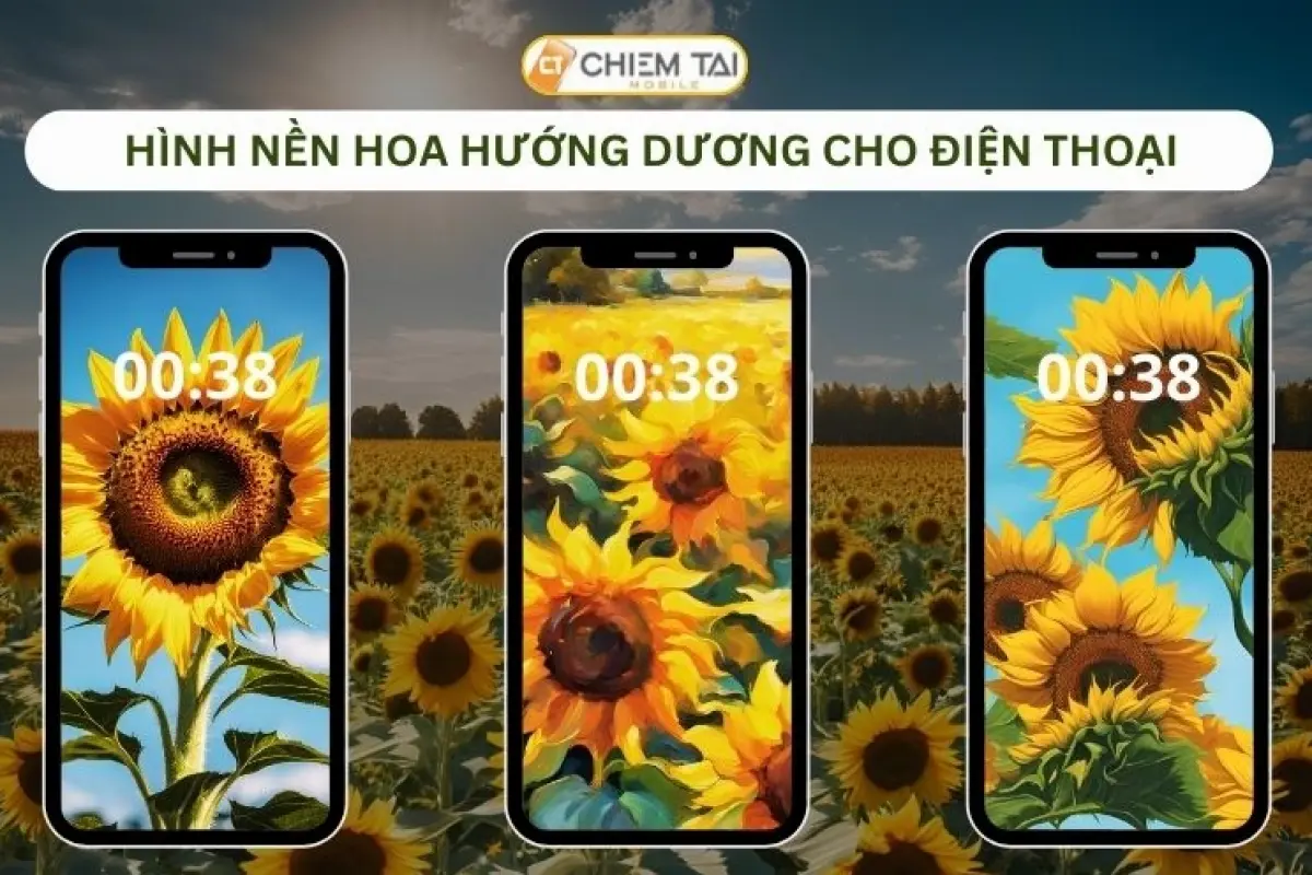 Bộ sưu tập hình nền hoa hướng dương đẹp nhất chất lượng 4K