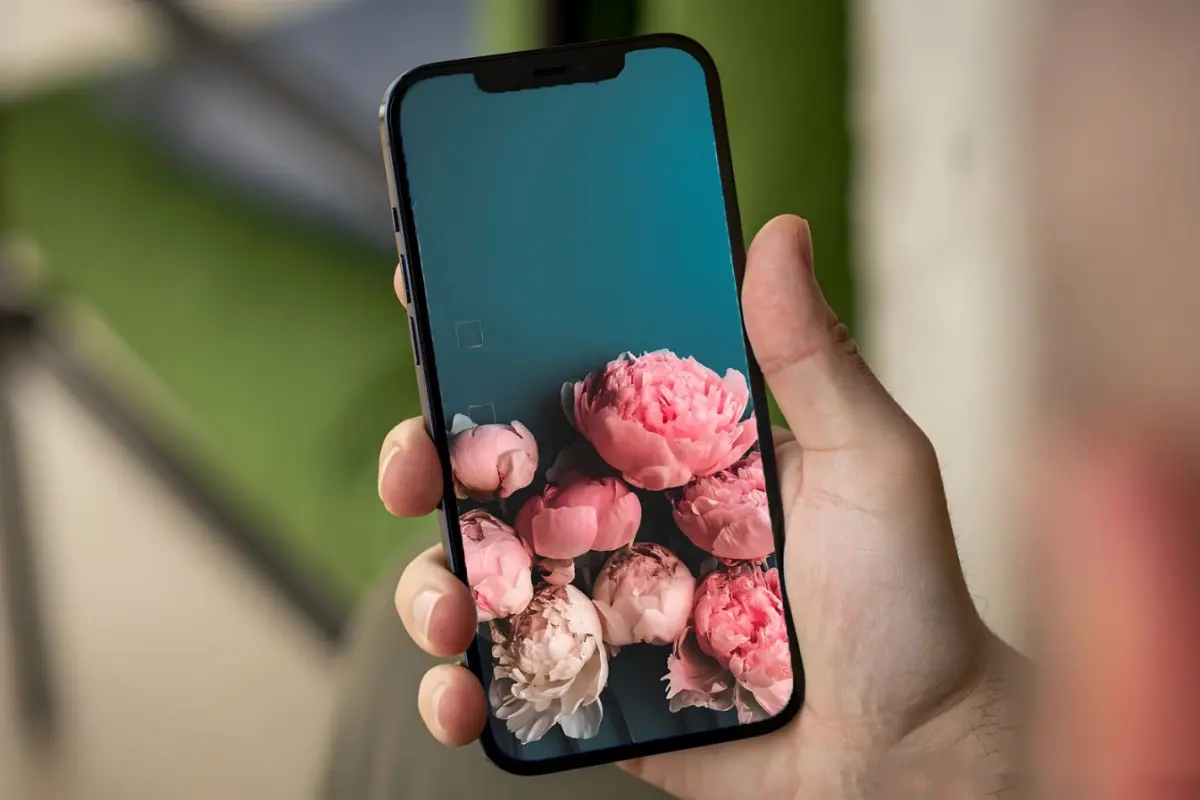 Bộ sưu tập hình nền hoa mẫu đơn thu hút tình duyên 4K