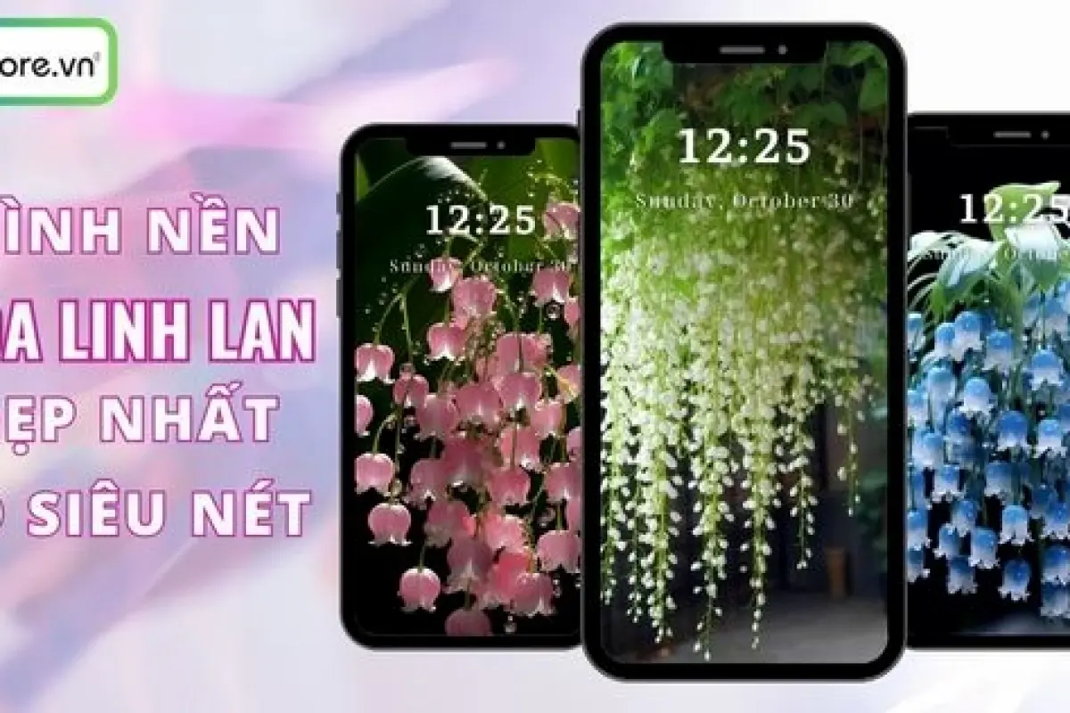 Bộ sưu tập hình nền hoa mộc lan cực đẹp tinh tế nhất