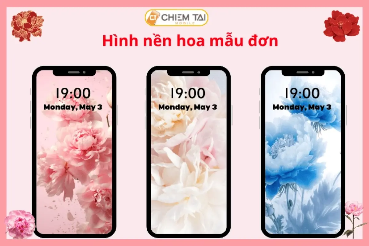 Tải ngay bộ hình nền hoa mẫu đơn 3d cực đẹp sắc nét