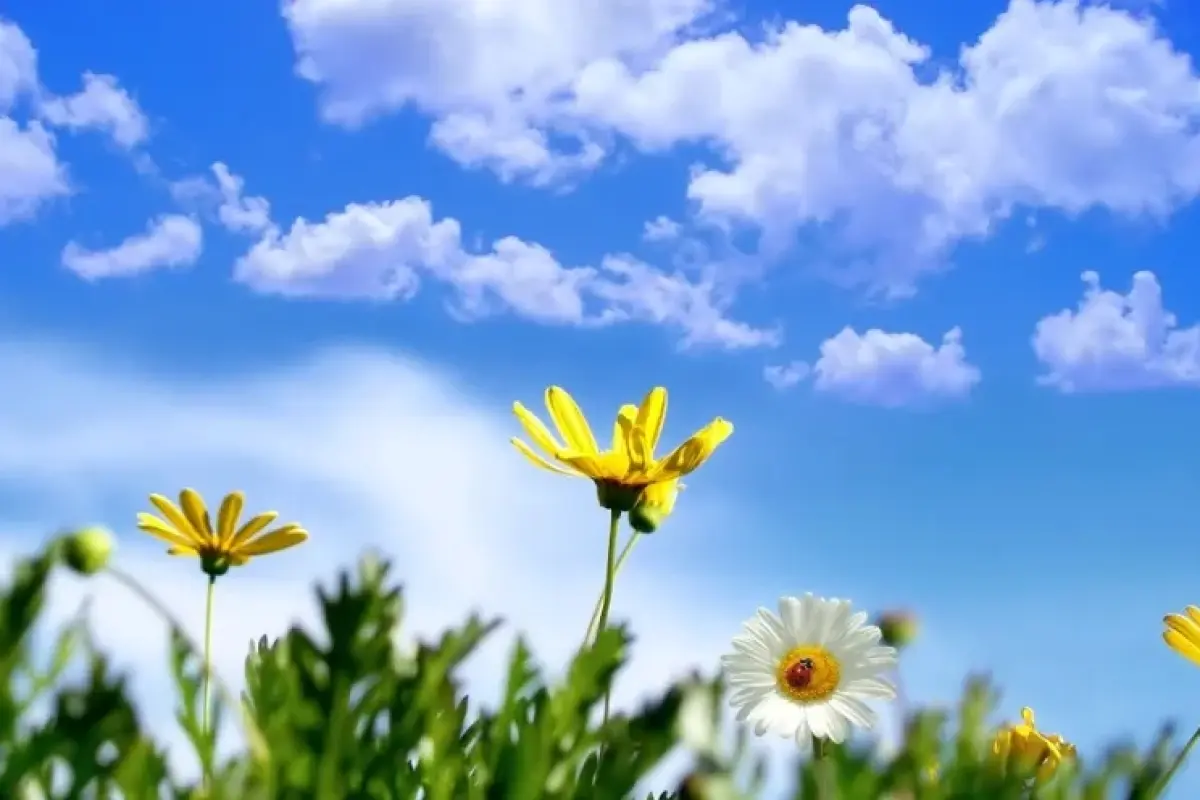 Tổng hợp 15+ background đẹp bầu trời chill và sắc nét nhất