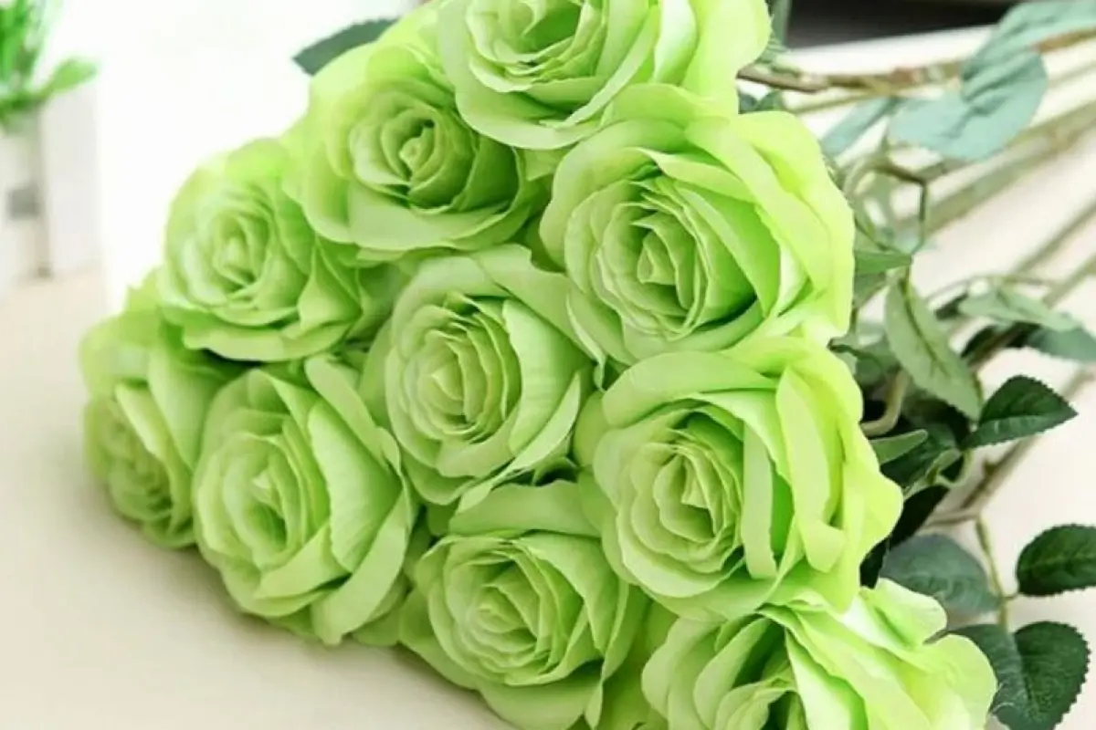 Tổng hợp 15+ hình nền hoa hồng xanh lá cây đẹp sắc nét