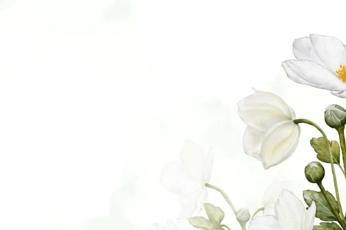 Tổng hợp 15+ mẫu background hoa đơn giản tinh tế và ấn tượng