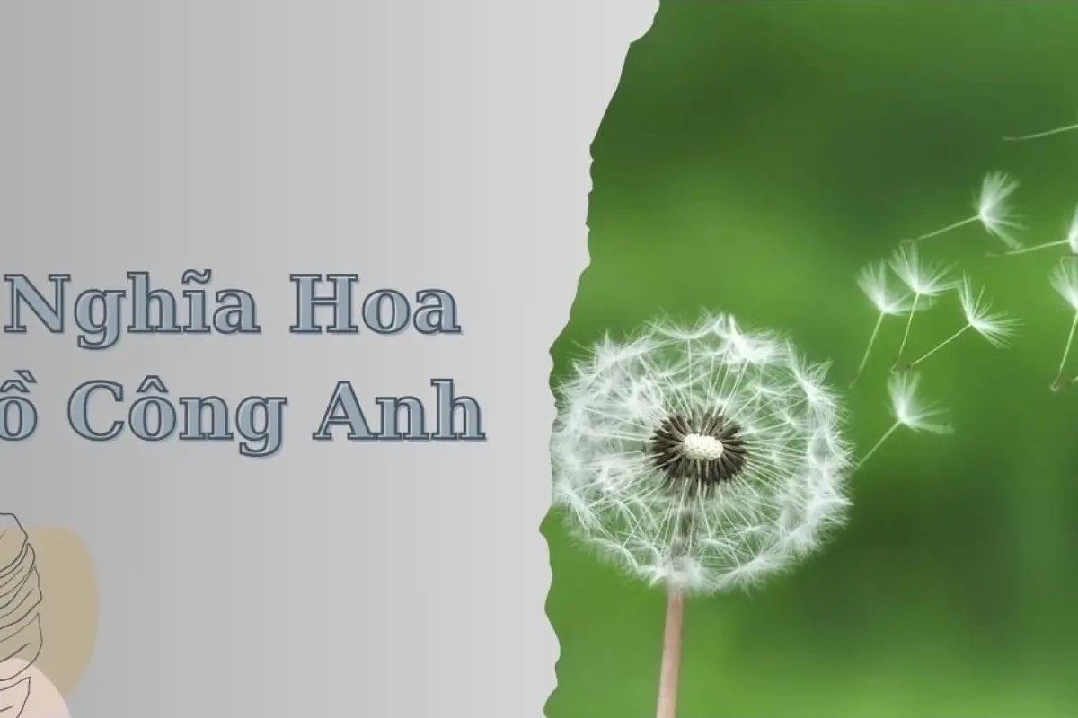 Tổng hợp background hoa bồ công anh đẹp tinh khôi lãng mạn