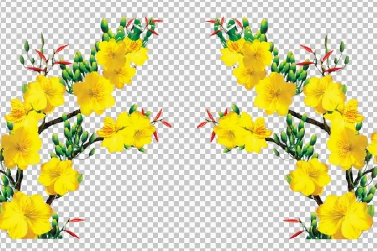 Tổng hợp bộ sưu tập background cây mai rực rỡ đón xuân