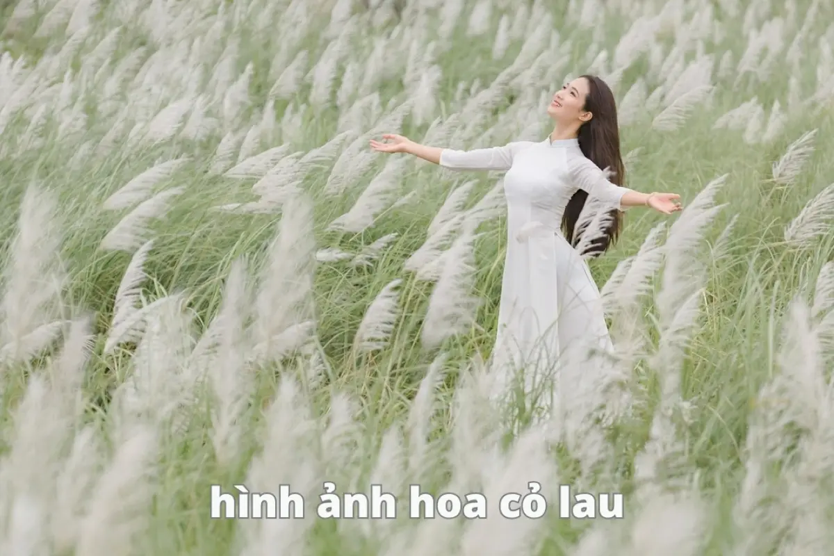 Tổng hợp bộ sưu tập background hoa cỏ mùa xuân nhẹ nhàng tinh tế