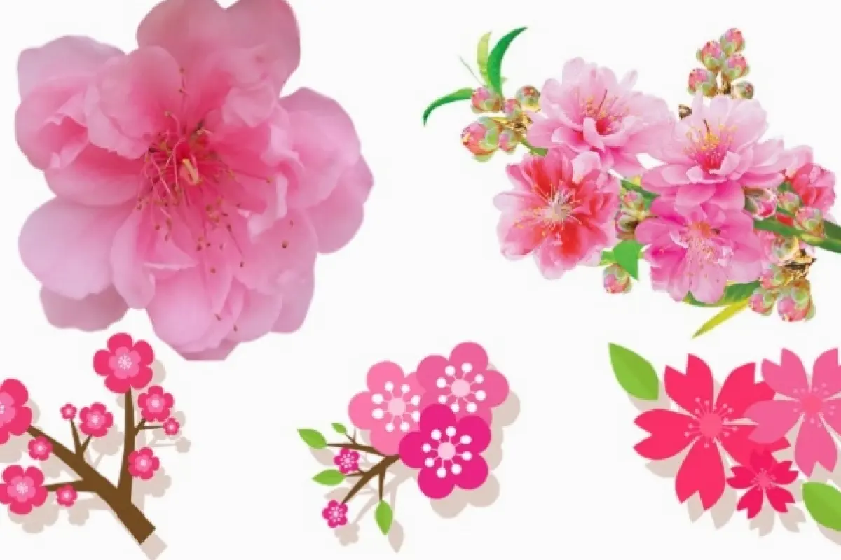 Tổng hợp bộ sưu tập background hoa đào tết đẹp nhất rực rỡ đón xuân
