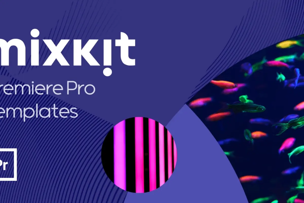 Tổng hợp bộ sưu tập background premiere chất lượng cao tuyệt đẹp