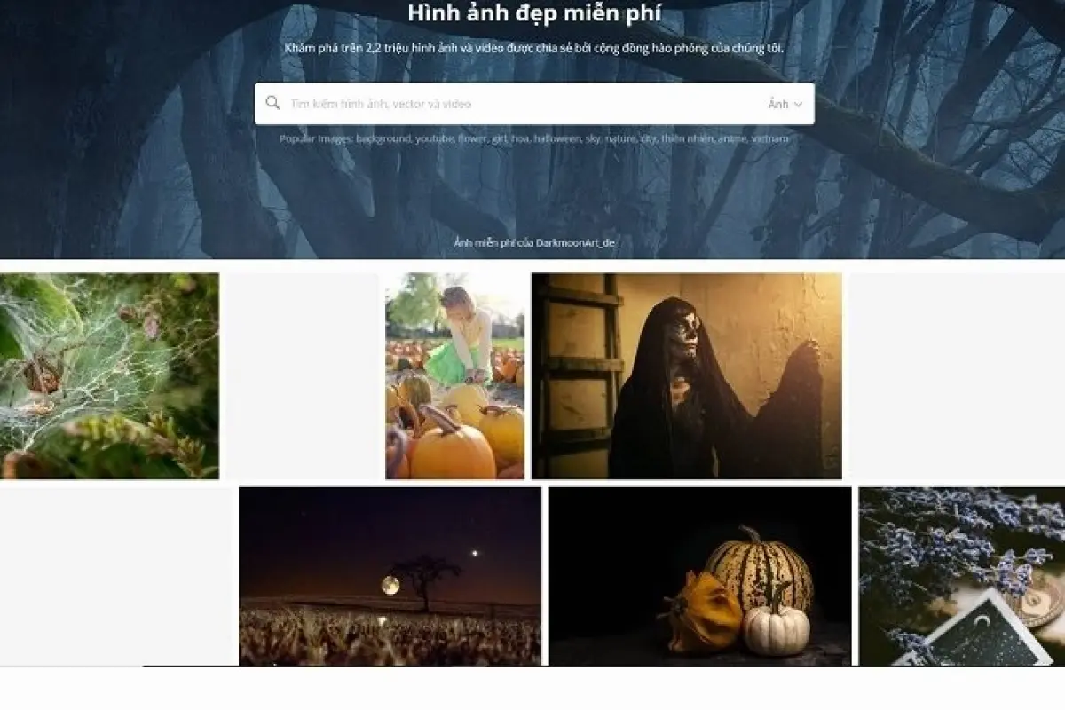 Tổng hợp bộ sưu tập background website đẹp sắc nét ấn tượng
