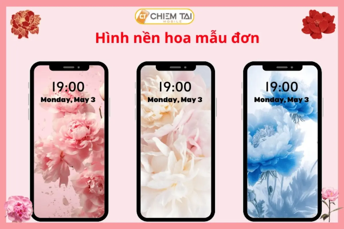 Tổng hợp bộ sưu tập hình nền 4k hoa mẫu đơn đẹp rạng rỡ