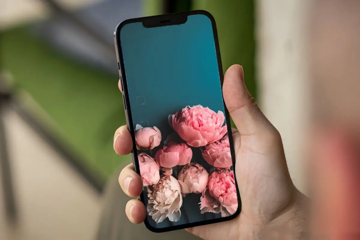 Tổng hợp bộ sưu tập hình nền bó hoa mẫu đơn tuyệt đẹp