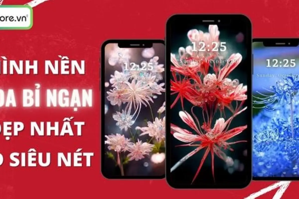 Tổng hợp bộ sưu tập hình nền hoa bi trắng đẹp lung linh