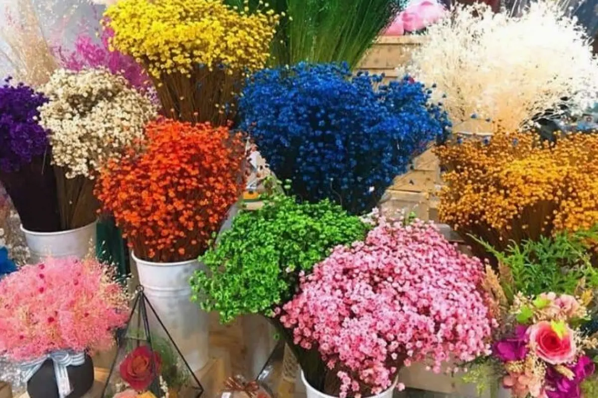 Tổng hợp bộ sưu tập hình nền hoa khô đẹp mộc mạc và tĩnh lặng