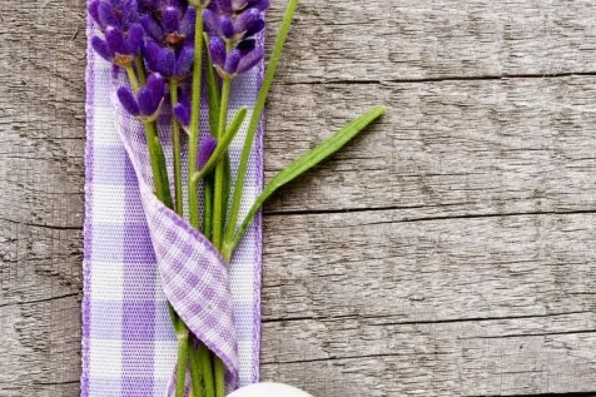 Tổng hợp bộ sưu tập hình nền hoa lavender đẹp mộng mơ cho bạn