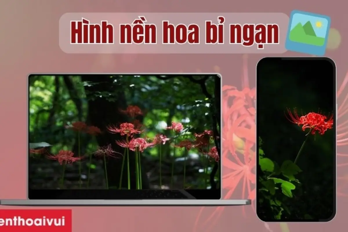 Tổng hợp hình nền hoa bi ngan sắc nét đẹp nhất cho điện thoại và máy tính