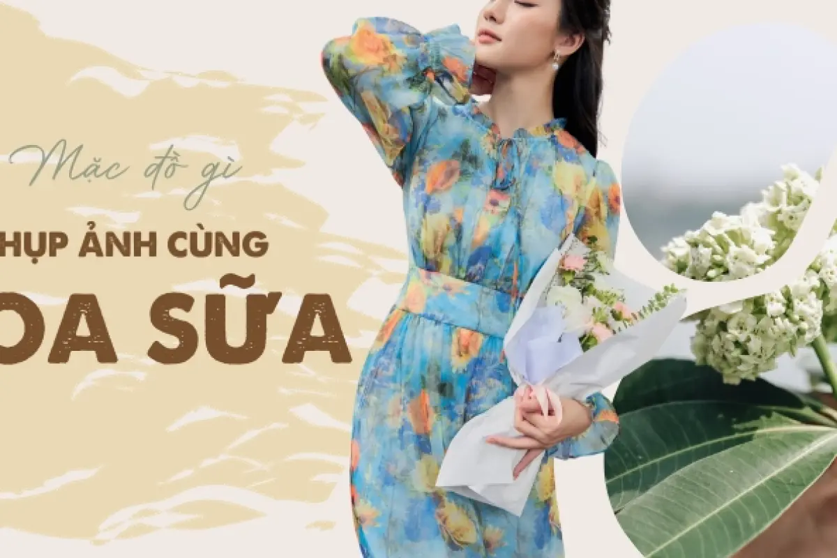 Tổng hợp hình nền hoa sữa đẹp thơ mộng ngây ngất lòng người