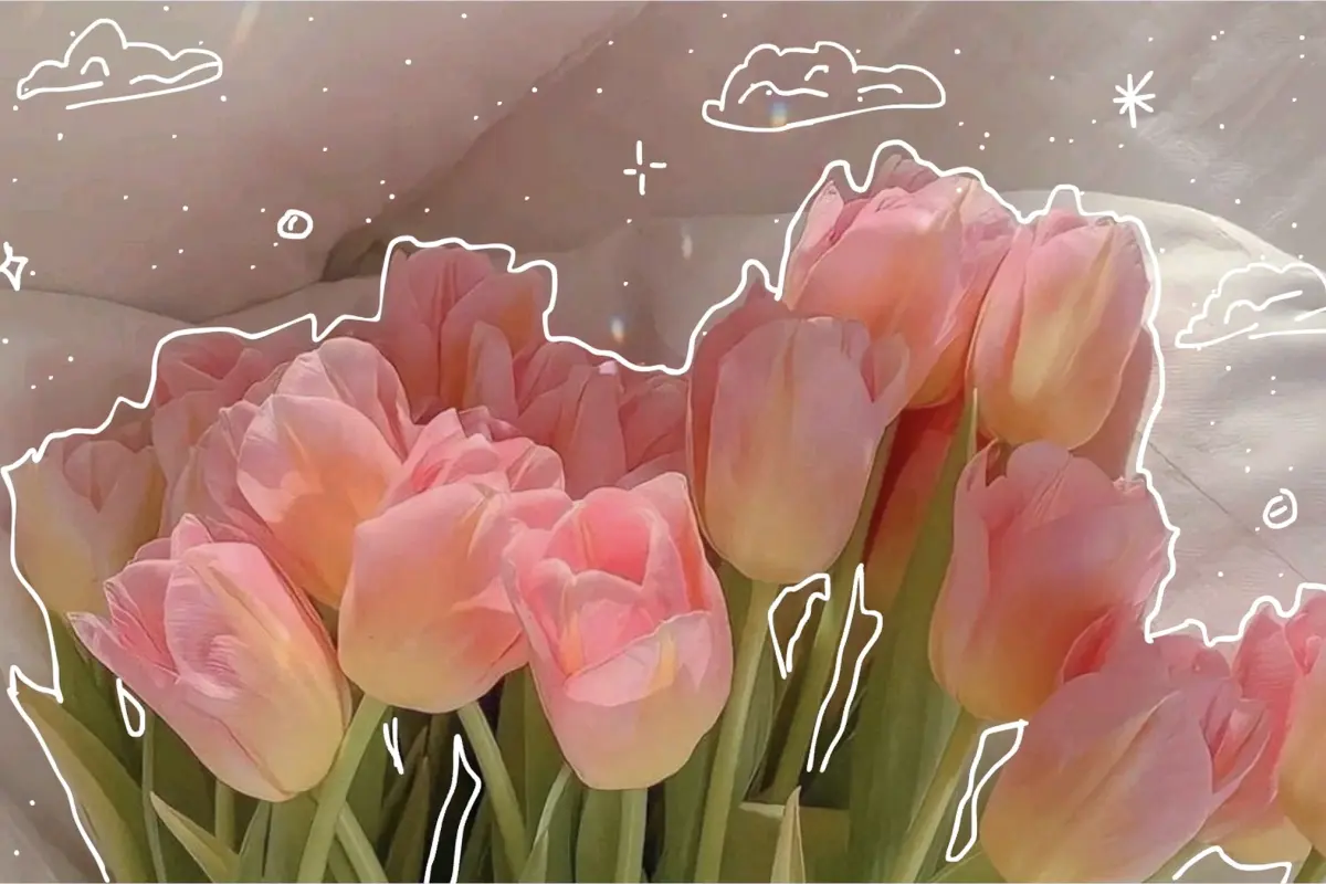 Tổng hợp hình nền hoa thiên nhiên đẹp sắc nét rực rỡ nhất 2026