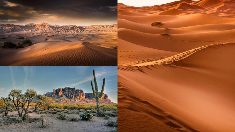 Khám phá background sa mạc đầy nắng gió và sắc vàng rực rỡ