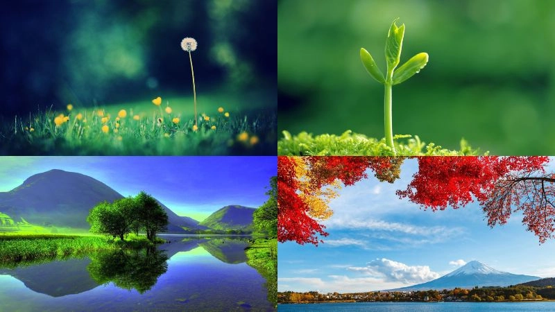 Khám phá background thiên nhiên đẹp tràn sức sống