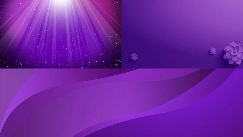 Background tím đậm tạo điểm nhấn mạnh mẽ và thu hút ánh nhìn