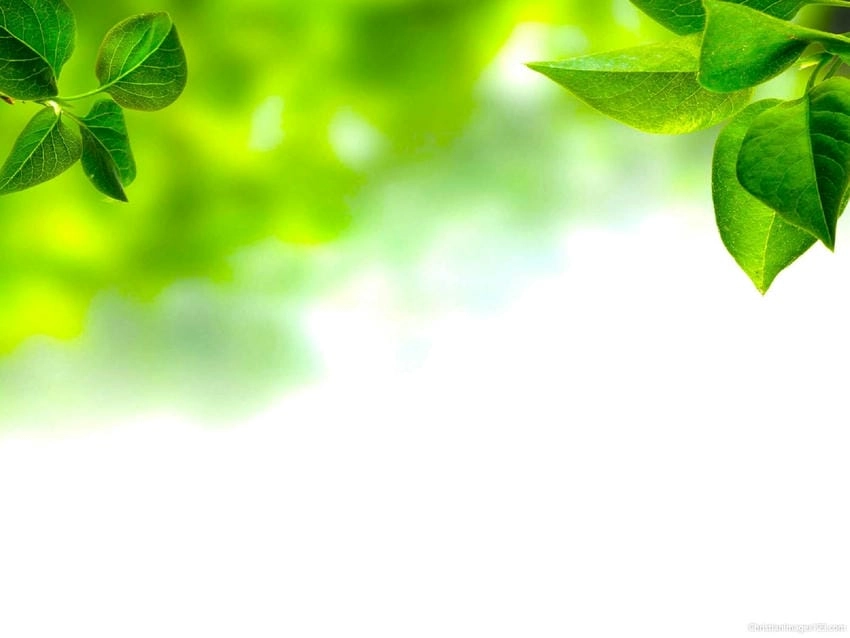 Background thuyết trình tối giản tập trung vào thông điệp