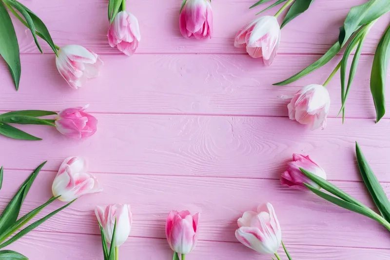 Tạo không gian ấn tượng với background 8/3 cho sự kiện