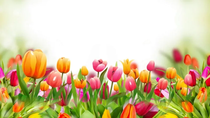 Thiết kế banner nổi bật với background 8/3 đầy màu sắc