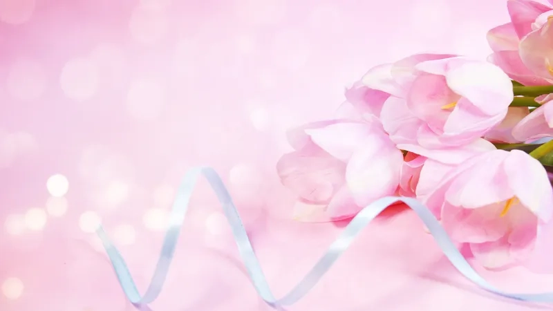 Gửi lời tri ân với background 8/3 tôn vinh phụ nữ